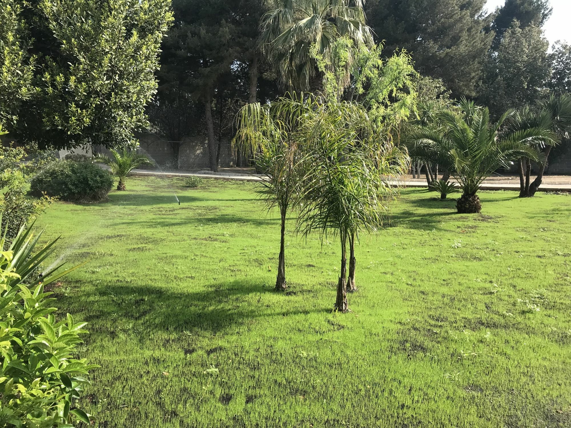 B&B Villa Jonica Gallipoli Dış mekan fotoğraf